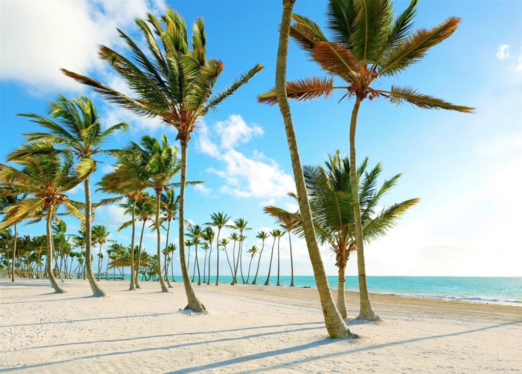 Photograph of coconut palms bent by the trade wind on the pale sand of Juanillo Beach in Cap Cana, a beach 8 minutes by car from Crystal Garden.
